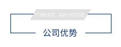 公司優(yōu)勢 公司優(yōu)勢