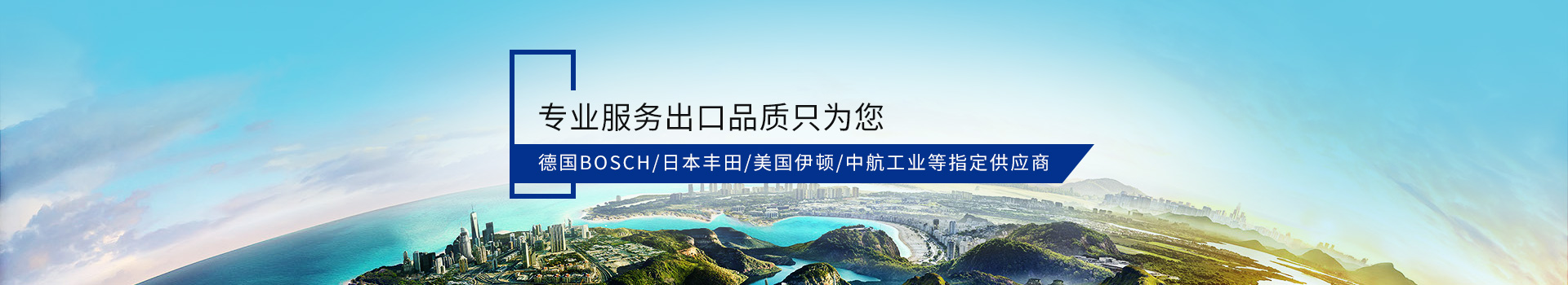 德國BOSCH/日本豐田/美國伊頓/中航工業(yè)等指定供應(yīng)商 專業(yè)服務(wù)出口品質(zhì)只為您！